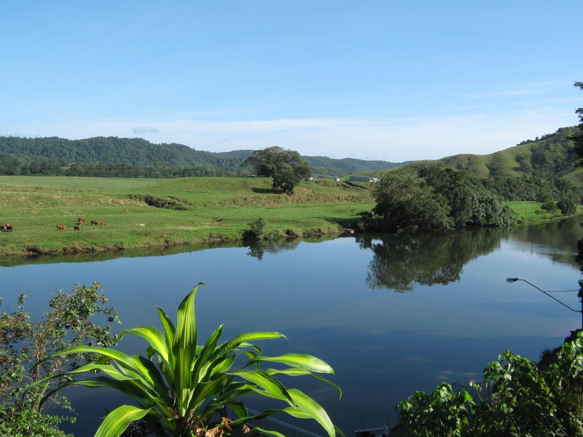 Daintree Riverview Lodges Exteriér fotografie