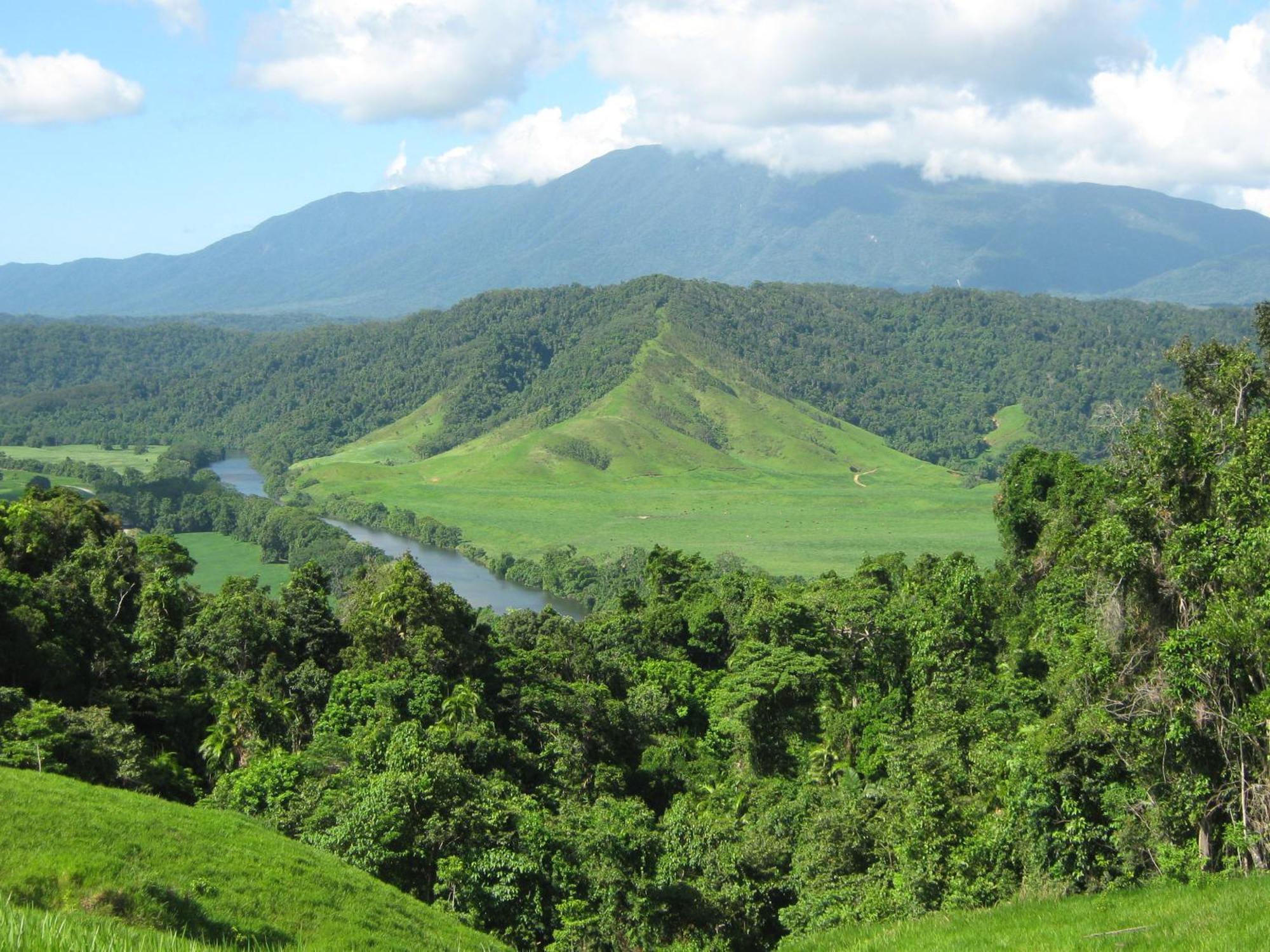 Daintree Riverview Lodges Exteriér fotografie